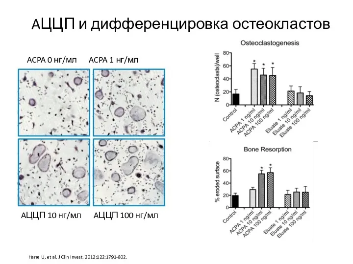 ACPA 0 нг/мл ACPA 1 нг/мл AЦЦП 10 нг/мл AЦЦП