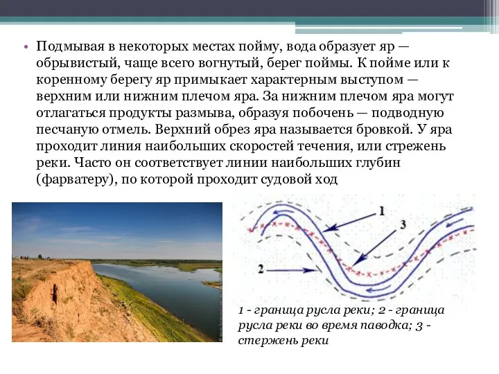 Подмывая в некоторых местах пойму, вода образует яр — обрывистый,