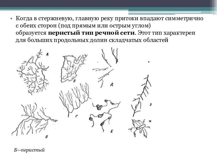 Когда в стержневую, главную реку притоки впадают симметрично с обеих