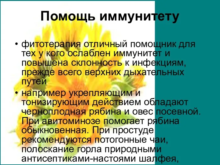 Помощь иммунитету фитотерапия отличный помощник для тех у кого ослаблен