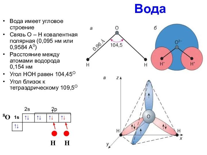 Вода Вода имеет угловое строение Связь О – Н ковалентная