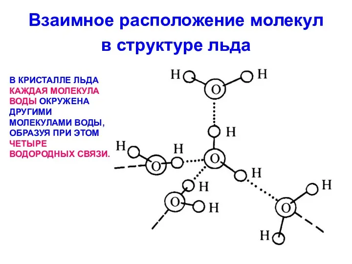 Взаимное расположение молекул в структуре льда В КРИСТАЛЛЕ ЛЬДА КАЖДАЯ