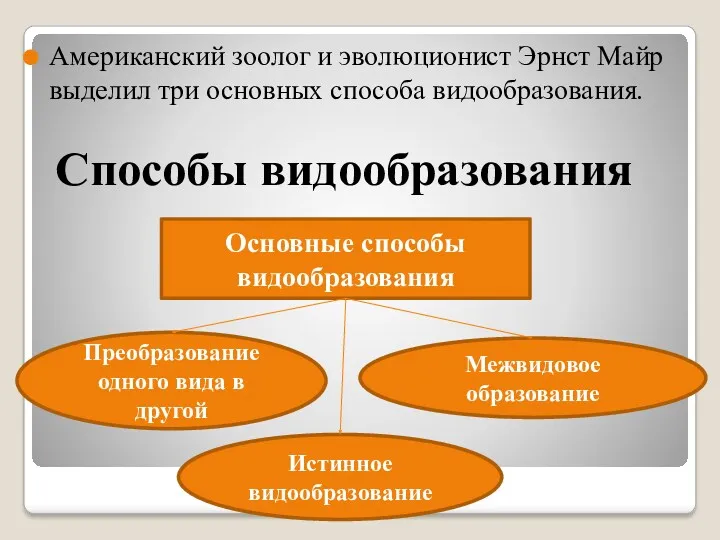 Способы видообразования Американский зоолог и эволюционист Эрнст Майр выделил три