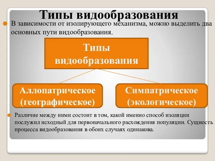 Типы видообразования Различие между ними состоит в том, какой именно