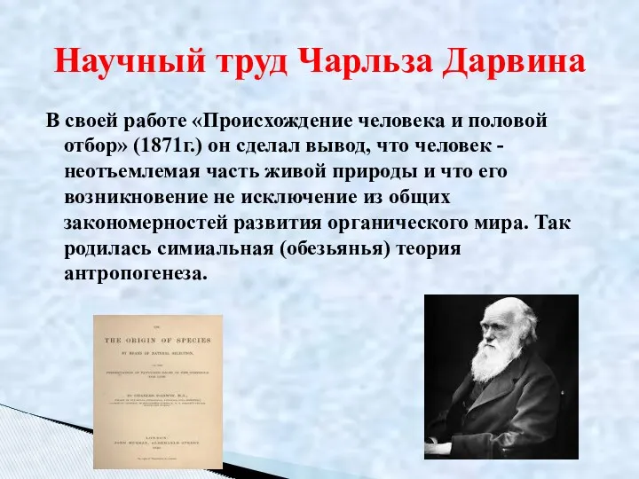 В своей работе «Происхождение человека и половой отбор» (1871г.) он