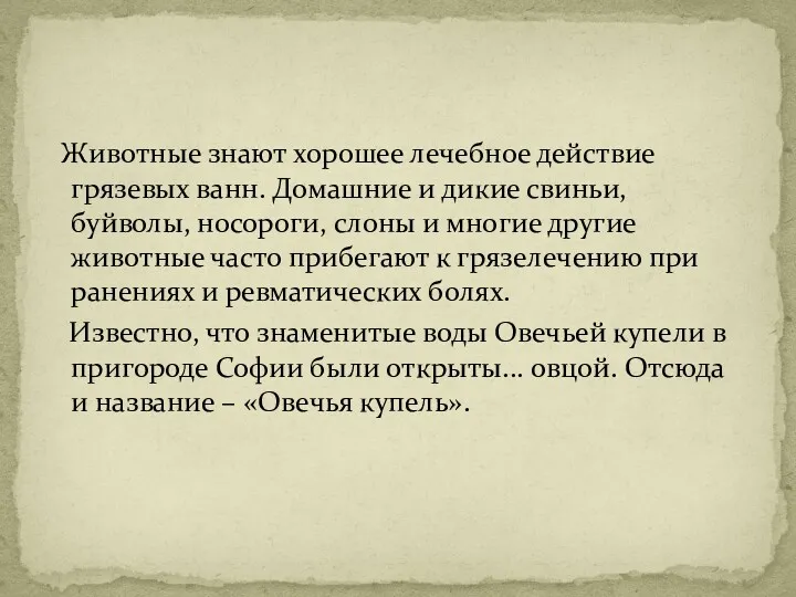 Животные знают хорошее лечебное действие грязевых ванн. Домашние и дикие