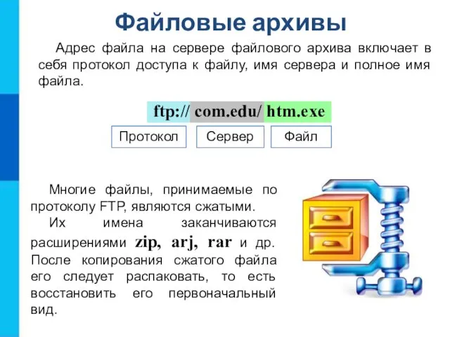 Файловые архивы ftp:// com.edu/ htm.exe Протокол Сервер Файл Адрес файла на сервере файлового
