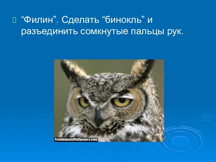 “Филин”. Сделать “бинокль” и разъединить сомкнутые пальцы рук.