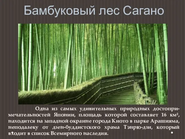 Бамбуковый лес Сагано Одна из самых удивительных природных достопри- мечательностей