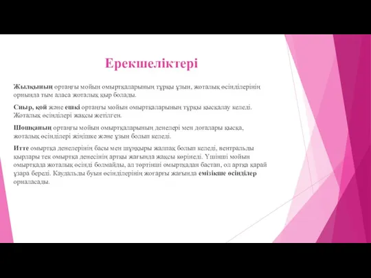 Ерекшеліктері Жылқының ортаңғы мойын омыртқаларының тұрқы ұзын, жоталық өсінділерінің орнында