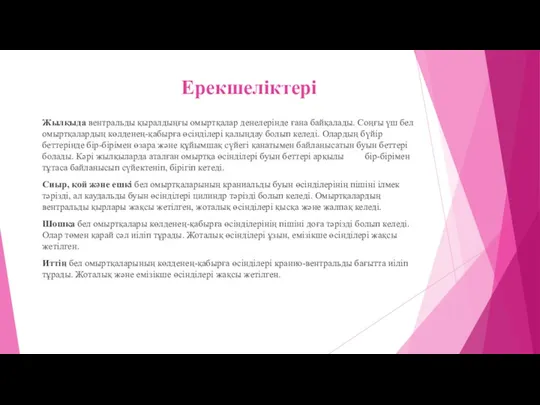 Ерекшеліктері Жылқыда вентральды қыралдыңғы омыртқалар денелерінде ғана байқалады. Соңғы үш