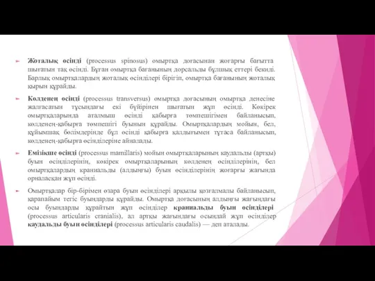 Жоталық өсінді (processus spinosus) омыртқа доғасынан жоғарғы бағытта шығатын тақ