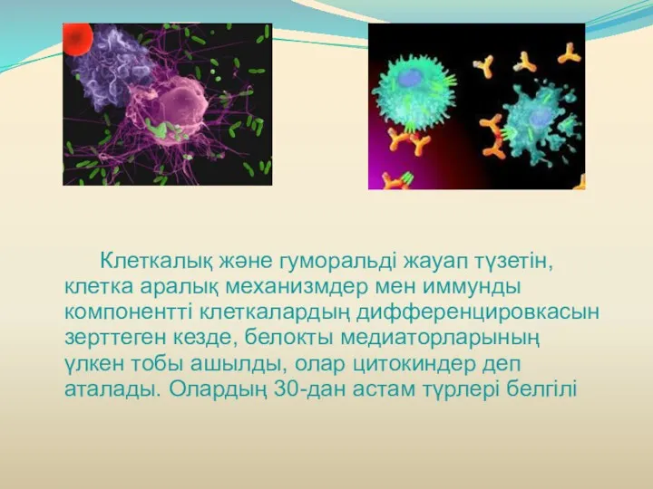 Клеткалық және гуморальді жауап түзетін, клетка аралық механизмдер мен иммунды