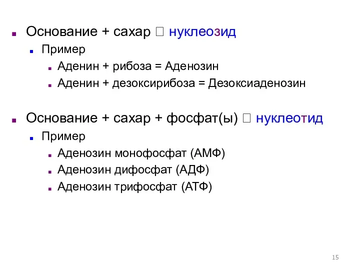 Основание + сахар ? нуклеозид Пример Аденин + рибоза =