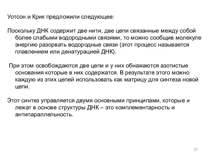 Уотсон и Крик предложили следующее: Поскольку ДНК содержит две нити,