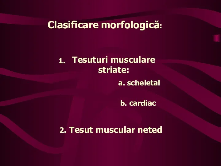 Clasificare morfologică: 1. Tesuturi musculare striate: a. scheletal b. cardiac 2. Tesut muscular neted