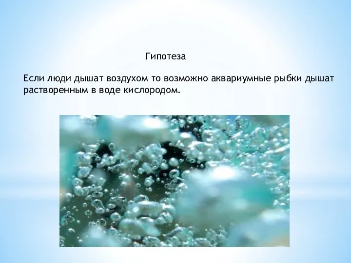 Гипотеза Если люди дышат воздухом то возможно аквариумные рыбки дышат растворенным в воде кислородом.