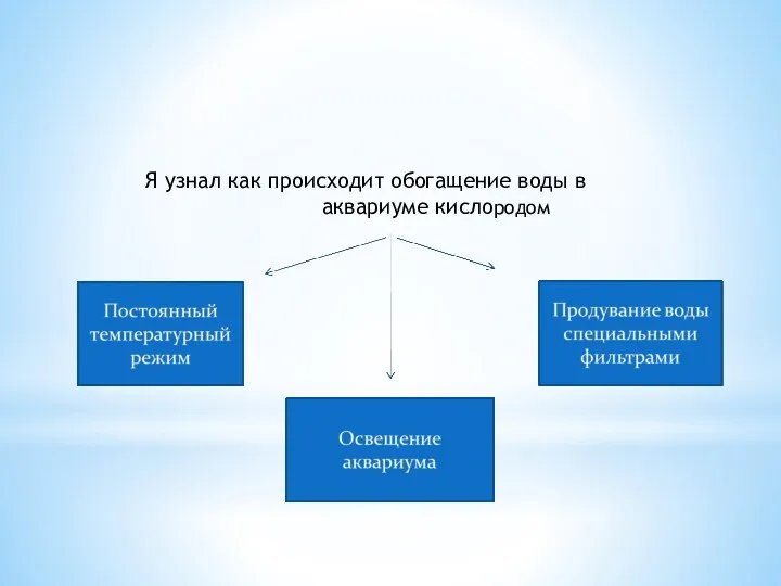 Я узнал как происходит обогащение воды в аквариуме кислородом