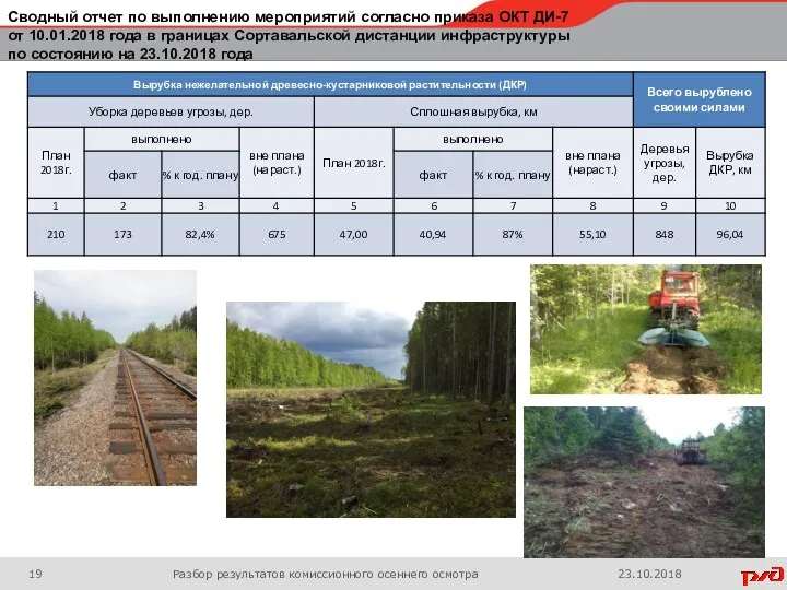 Разбор результатов комиссионного осеннего осмотра 23.10.2018 Сводный отчет по выполнению