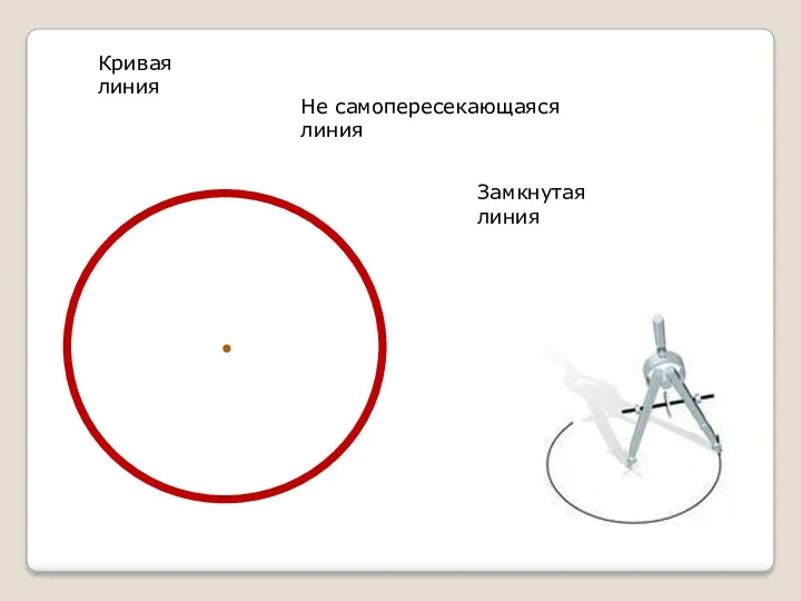 Замкнутая линия Кривая линия Не самопересекающаяся линия