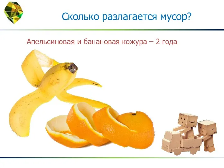 Апельсиновая и банановая кожура – 2 года Сколько разлагается мусор?