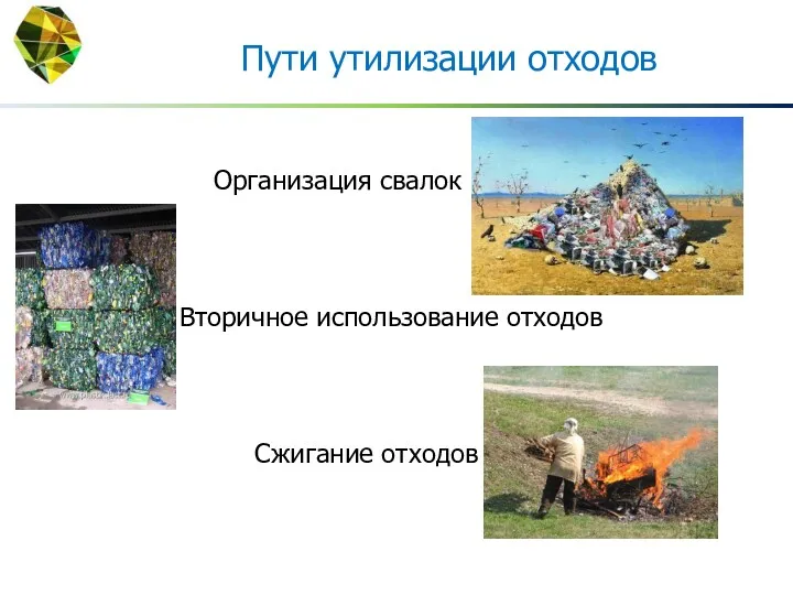 Пути утилизации отходов Организация свалок Вторичное использование отходов Сжигание отходов