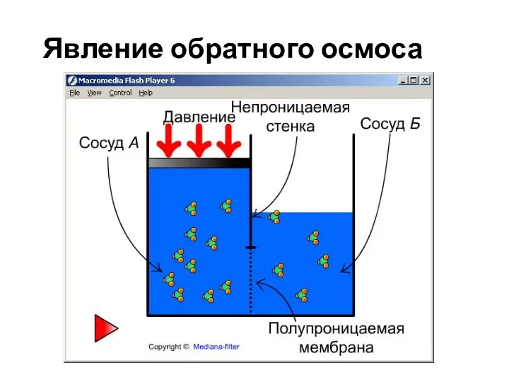 Явление обратного осмоса