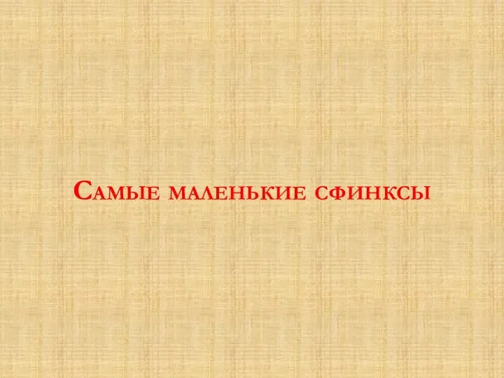 Самые маленькие сфинксы