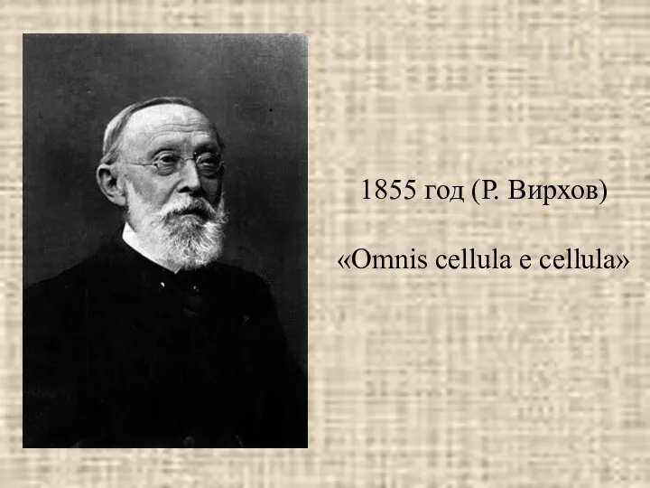 1855 год (Р. Вирхов) «Omnis cellula e cellula»