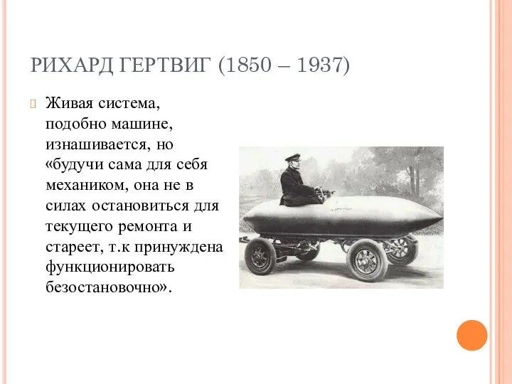РИХАРД ГЕРТВИГ (1850 – 1937) Живая система, подобно машине, изнашивается,