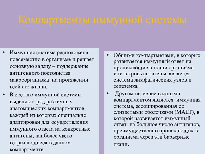 Компартменты иммунной системы Иммунная система расположена повсеместно в организме и