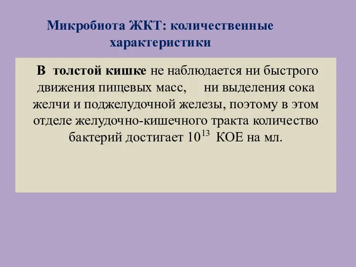 . В толстой кишке не наблюдается ни быстрого движения пищевых