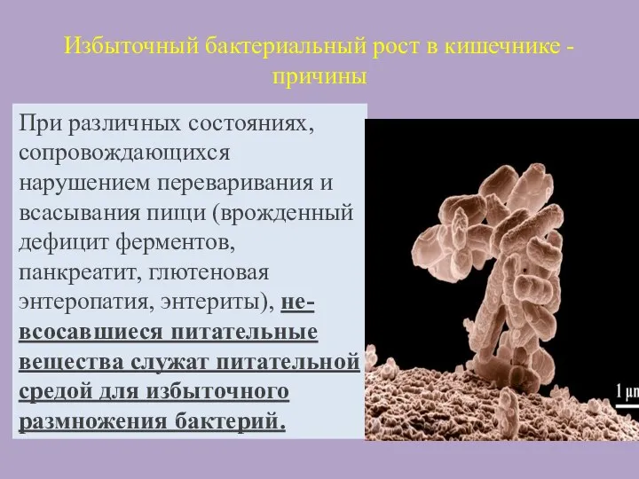 Избыточный бактериальный рост в кишечнике -причины При различных состояниях, сопровождающихся