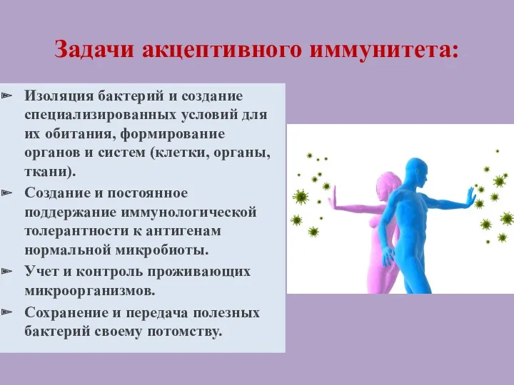 Задачи акцептивного иммунитета: Изоляция бактерий и создание специализированных условий для