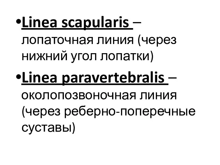 Linea scapularis – лопаточная линия (через нижний угол лопатки) Linea
