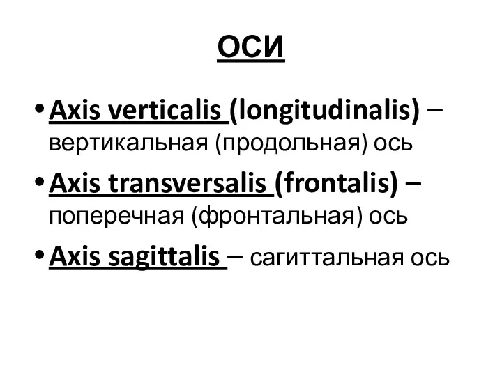 ОСИ Axis verticalis (longitudinalis) – вертикальная (продольная) ось Axis transversalis