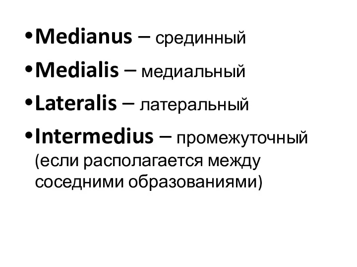 Medianus – срединный Medialis – медиальный Lateralis – латеральный Intermedius