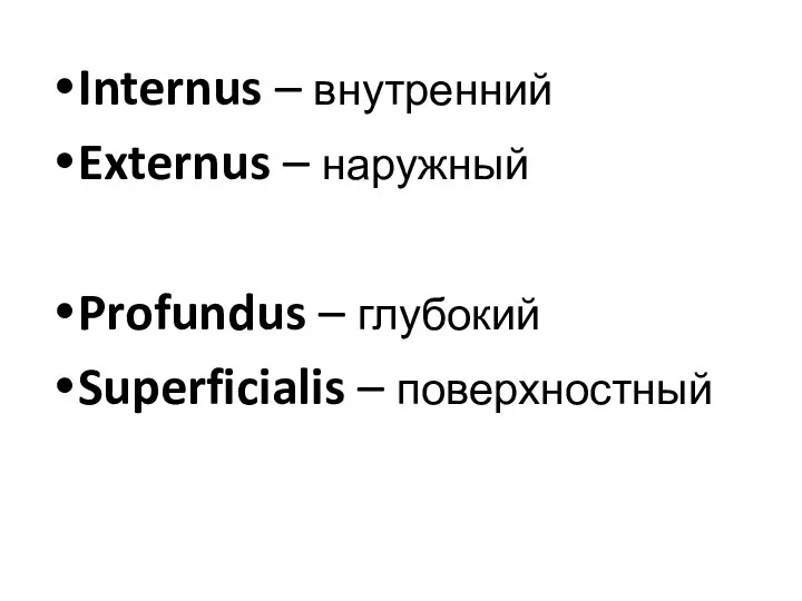 Internus – внутренний Externus – наружный Profundus – глубокий Superficialis – поверхностный