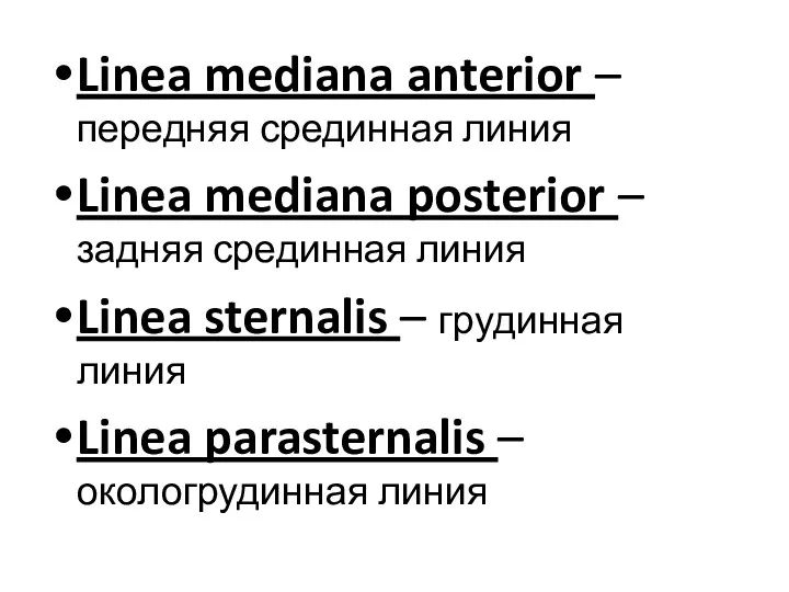 Linea mediana anterior – передняя срединная линия Linea mediana posterior