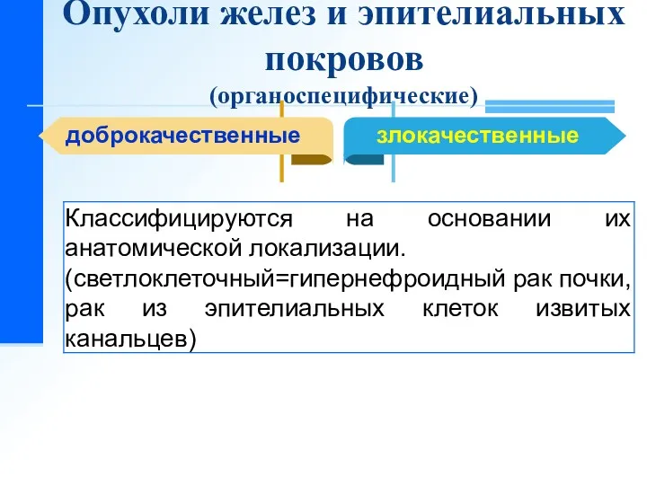 Опухоли желез и эпителиальных покровов (органоспецифические) доброкачественные