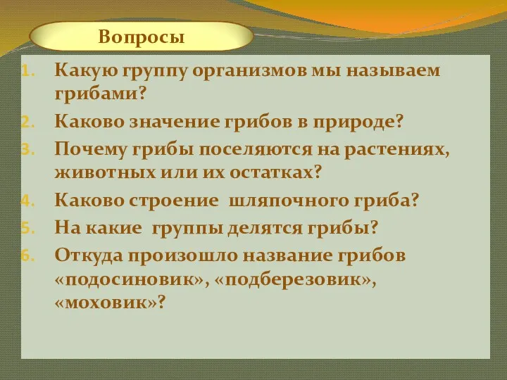 Какую группу организмов мы называем грибами? Каково значение грибов в природе? Почему грибы