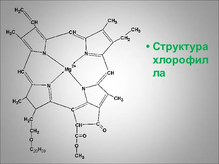 Структура хлорофилла