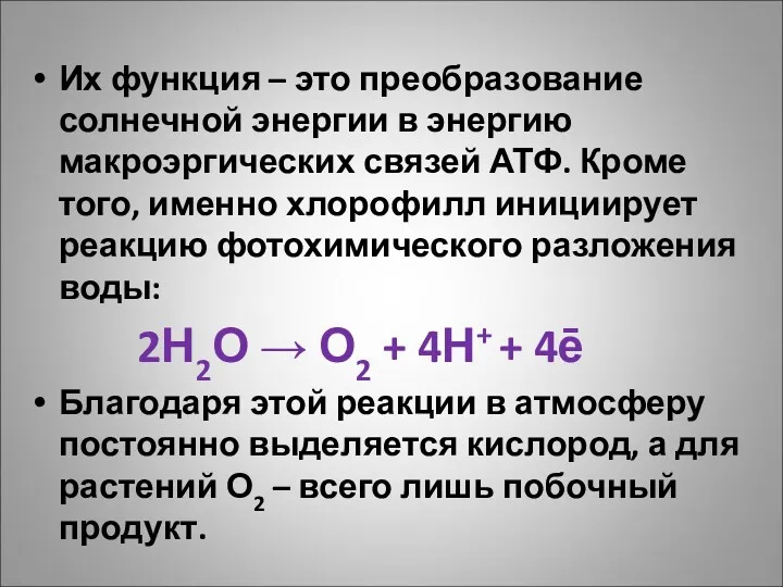 Их функция – это преобразование солнечной энергии в энергию макроэргических