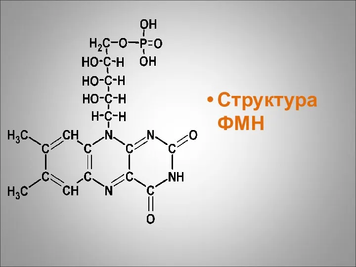 Структура ФМН