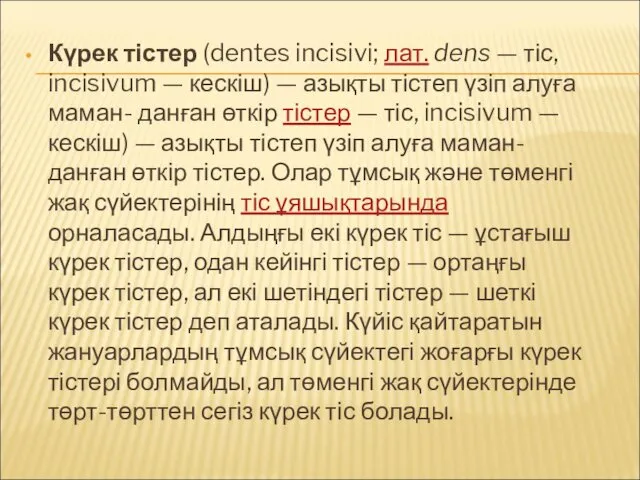 Күрек тістер (dentes incisivi; лат. dens — тіс, incisivum —