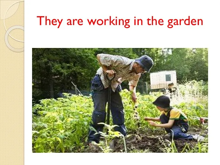 They are working in the garden