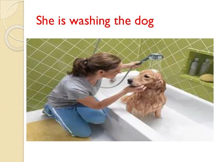 She is washing the dog