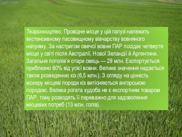 Тваринництво. Провідне місце у цій галузі належить екстенсивному пасовищному вівчарству