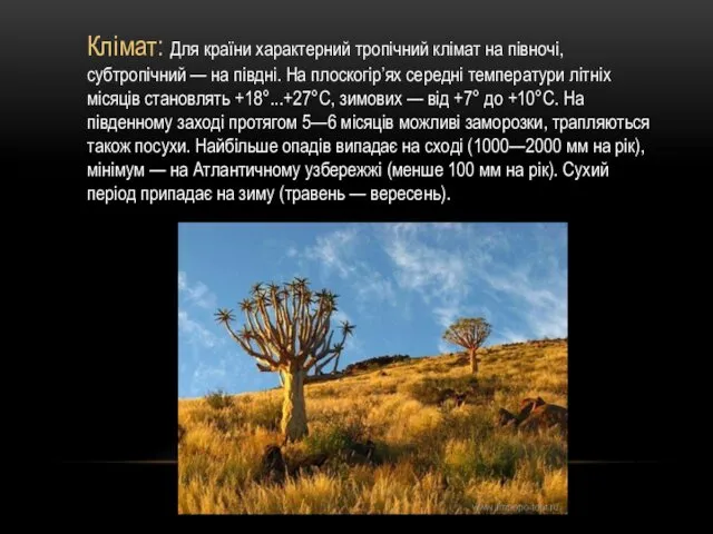 Клімат: Для країни характерний тропічний клімат на півночі, субтропічний —