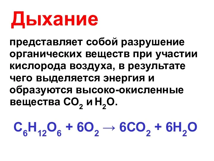 Дыхание представляет собой разрушение органических веществ при участии кислорода воздуха,